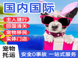 长沙黄花航空快运国际宠物托运 【国